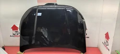Капот Exeed VX
