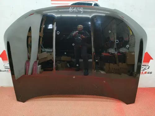 Капот Chery Tiggo 7 Pro